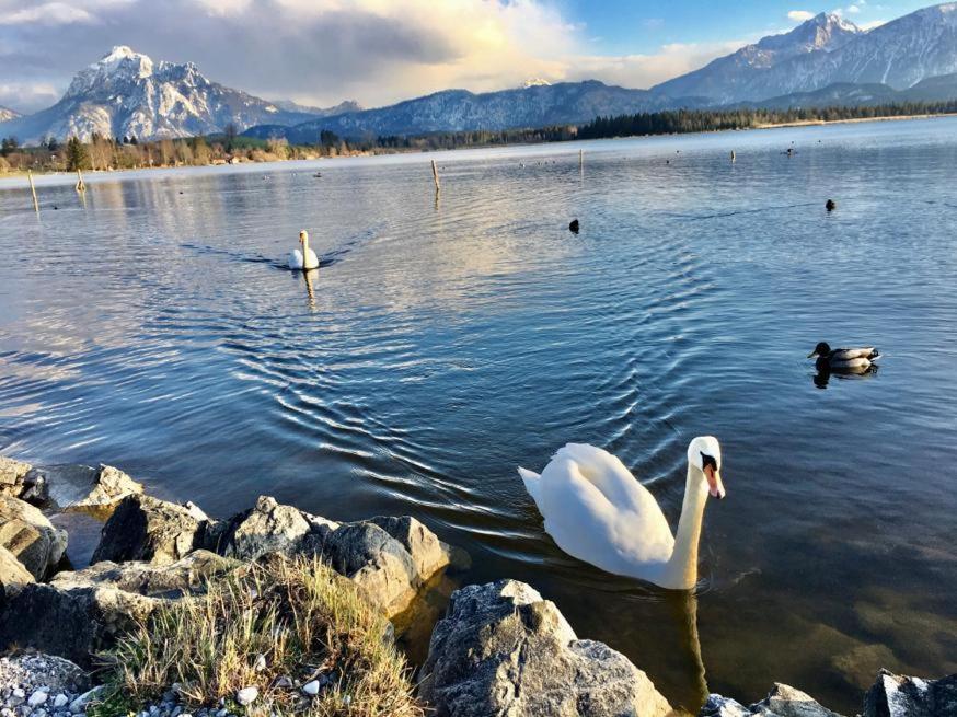 Hotel Fischer Am See Füssen Exteriér fotografie
